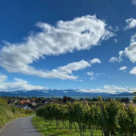 Panorama Waldblick شقة *