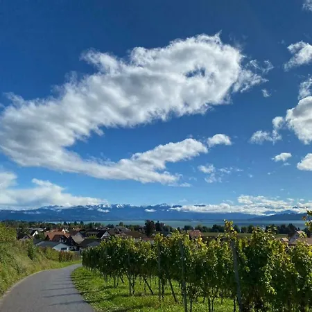 Διαμέρισμα Panorama Waldblick Wasserburg